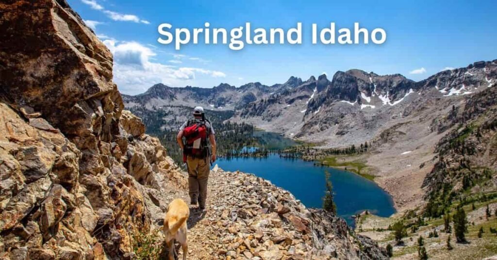 Springland Idaho