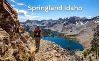 Springland Idaho