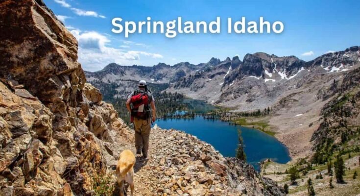 Springland Idaho